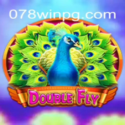 DoubleFly: An Engaging Journey Through a New Gaming Experience