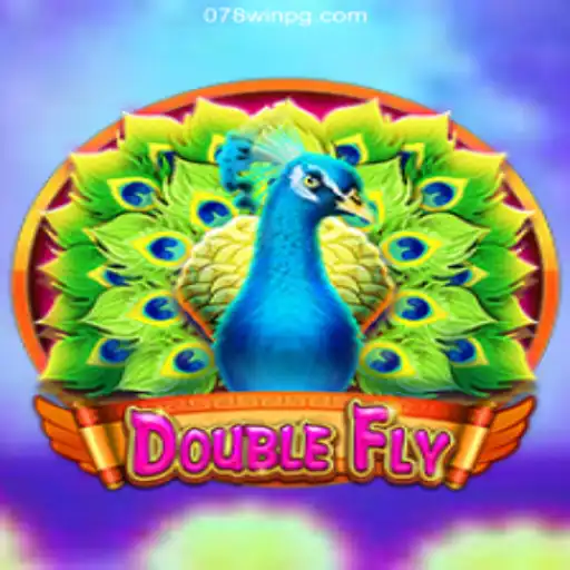 DoubleFly: An Engaging Journey Through a New Gaming Experience
